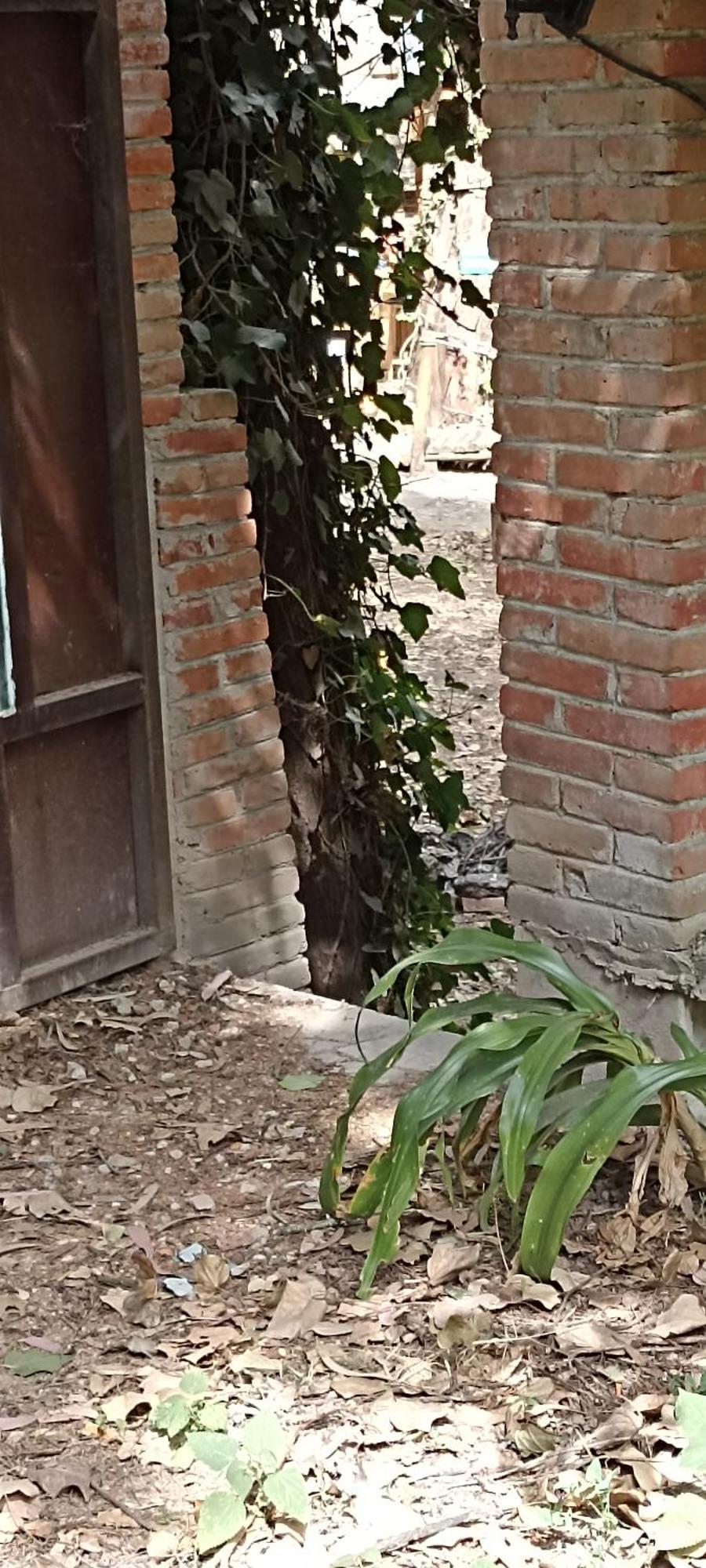 Mindfulness Glamping, Retiro De Yoga, Campsite