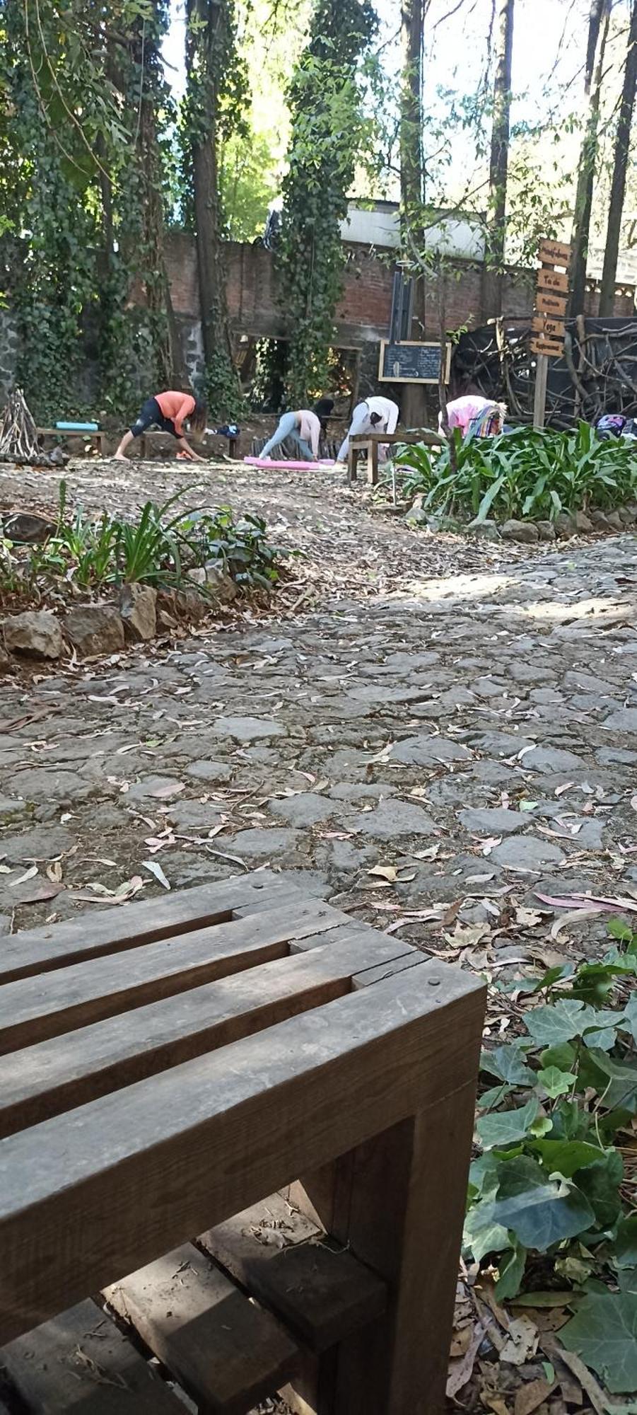 Campsite Mindfulness Glamping, Retiro De Yoga, Mexico City