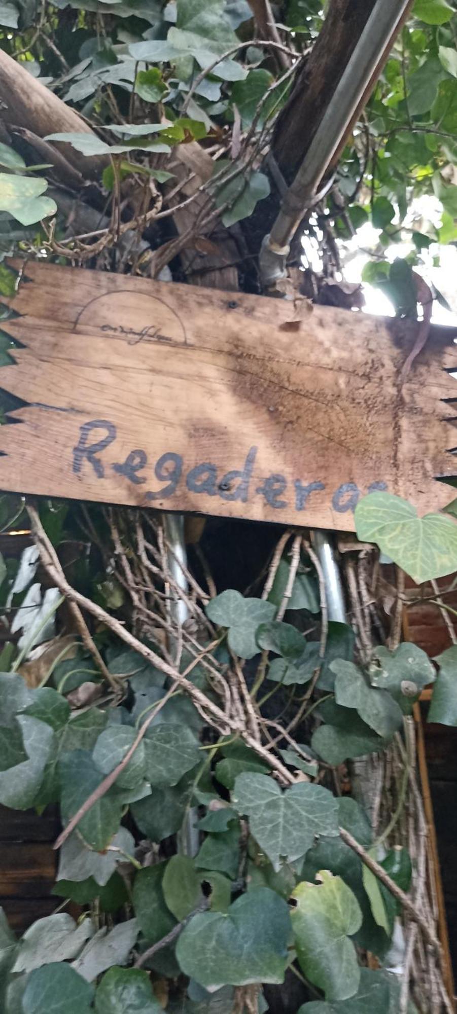 Camping Mindfulness Glamping, Retiro De Yoga, *