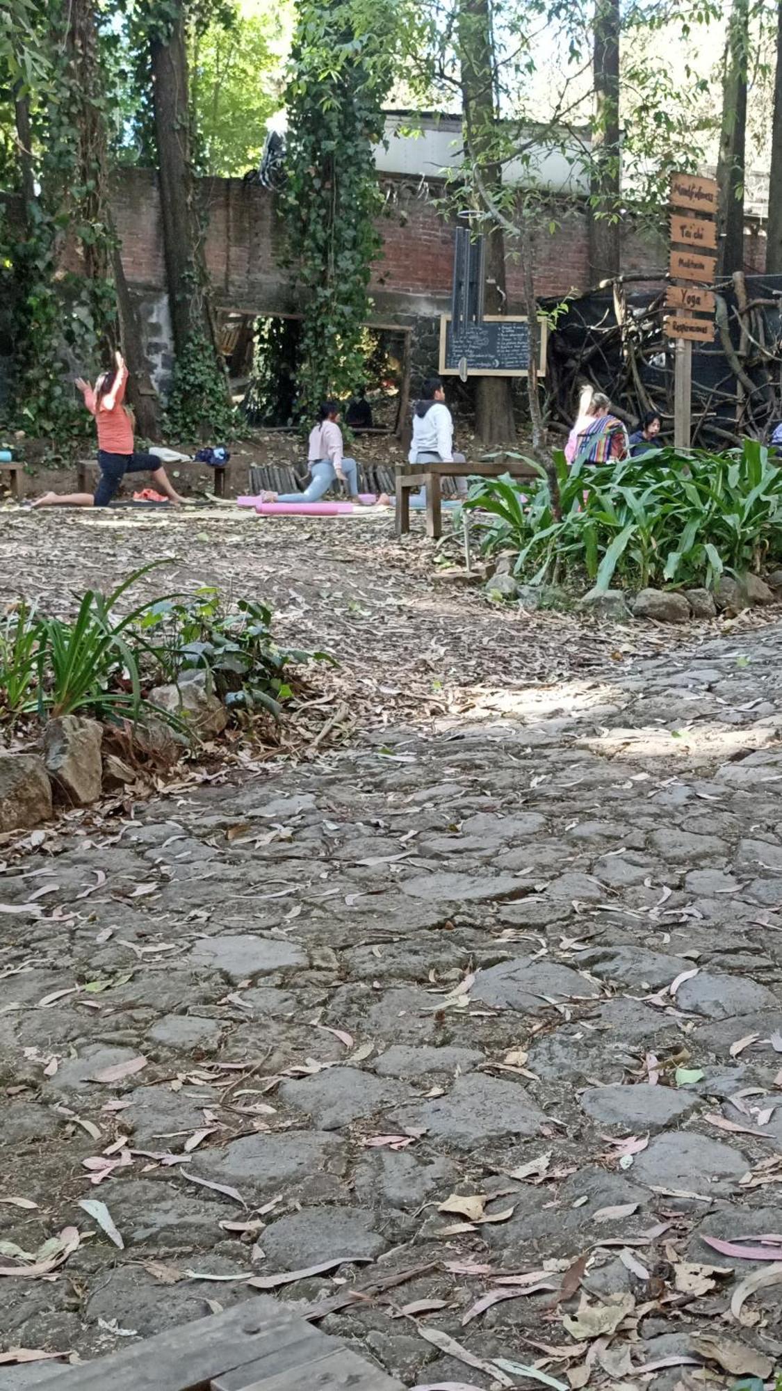 Mindfulness Glamping, Retiro De Yoga, * Mexico City