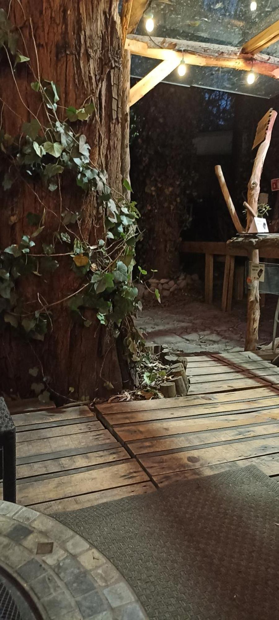 Mindfulness Glamping, Retiro De Yoga, * Mexico City