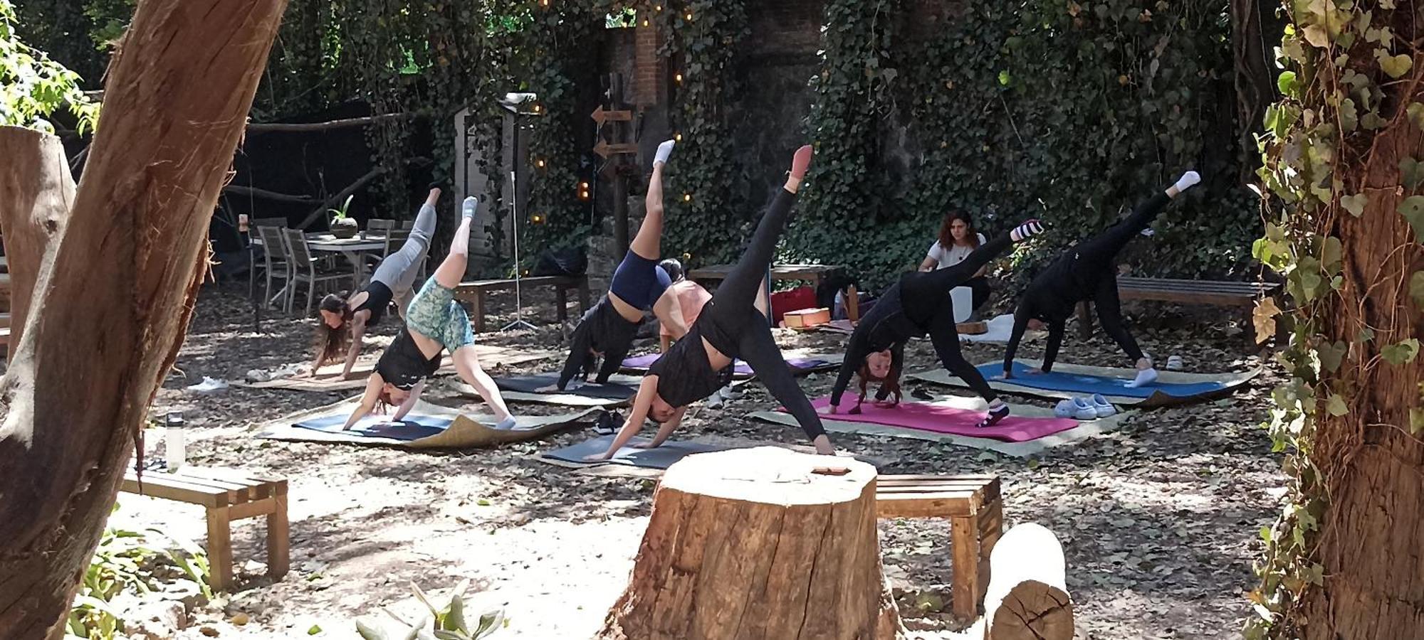 Campsite Mindfulness Glamping, Retiro De Yoga, Mexico City