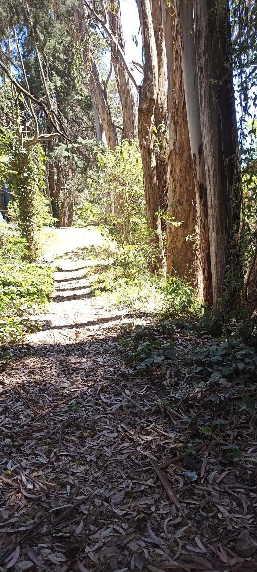 Mindfulness Glamping, Retiro De Yoga, *