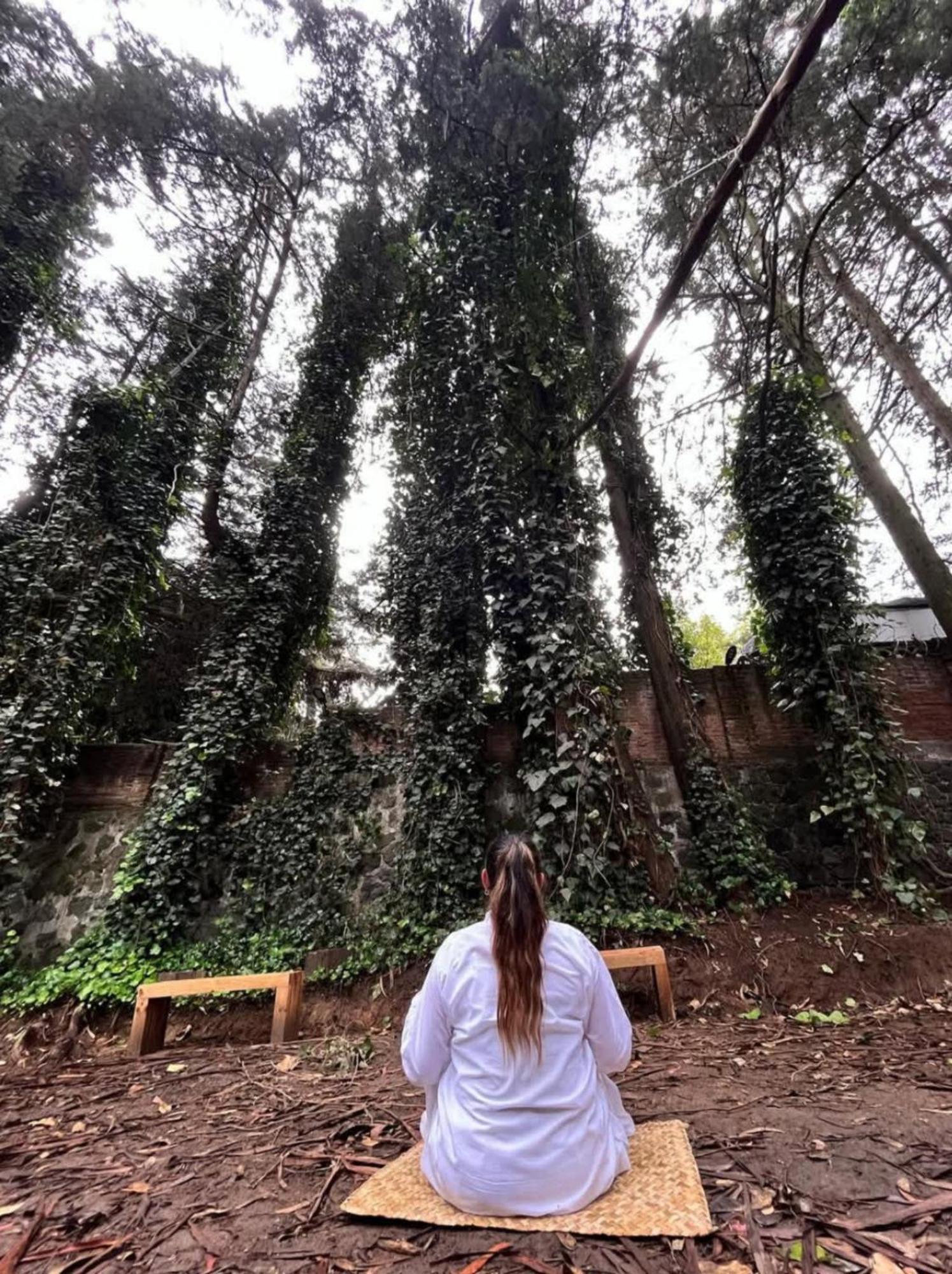 Mindfulness Glamping, Retiro De Yoga, Acampamento